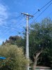 Tree branches overhanging mainline from power pole