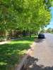 Visibility of speed limit sign blocked by street trees